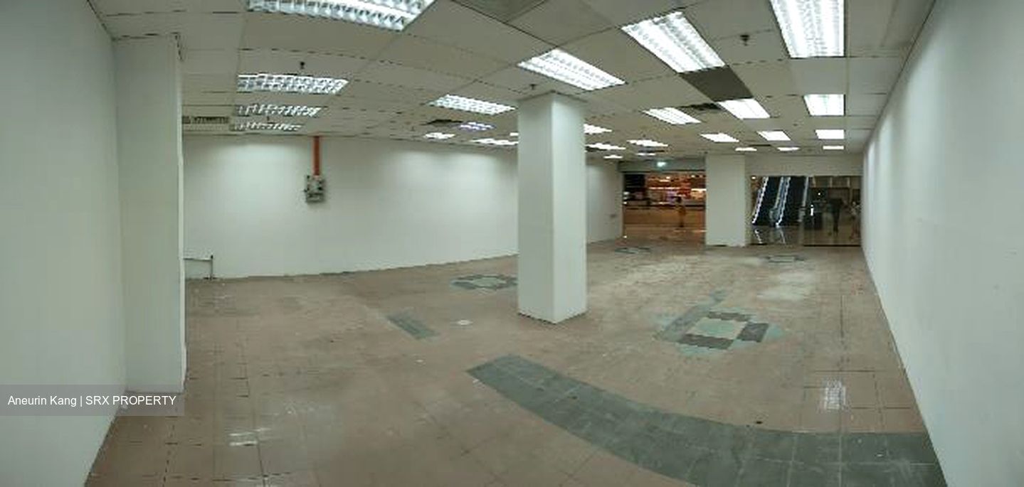 Bukit Timah Plaza / Sherwood Towers (D21), Retail #580766051